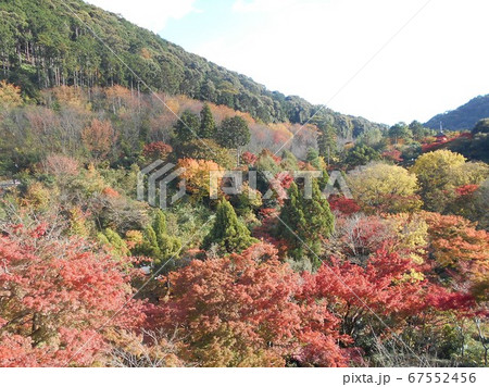 秋の京都巡り清水寺近くの紅葉 秋の京都巡り清水寺近くの紅葉 67552456