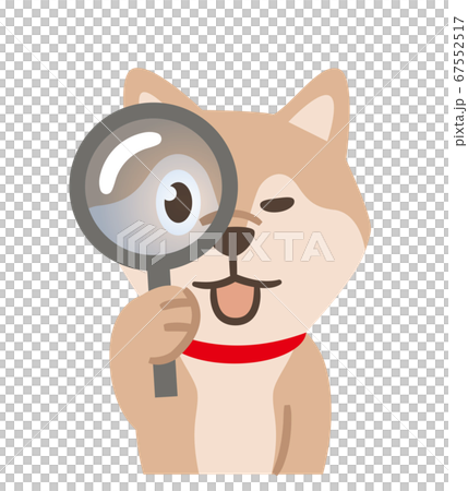 虫眼鏡を覗く犬 虫眼鏡を覗く犬 67552517