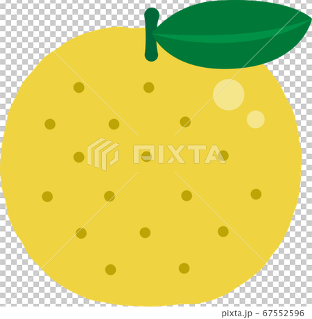 Illustration of Yuzu - Stock Illustration [67552596] - PIXTA