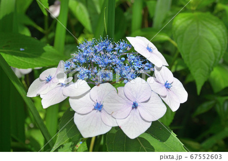 秩父散歩:二十番札所 岩之上堂( いわのうえどう)臨済宗南禅寺派 秩父散歩:二十番札所 岩之上堂( いわのうえどう)臨済宗南禅寺派 67552603