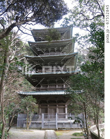 藤沢市の龍口寺にある五重塔 67552845