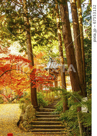 京都の紅葉の名所　神蔵寺　京都亀岡観光スポット　明智光秀ゆかりの地　 67553132