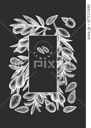 Hand Drawn Sketch Almond Design Template Organicのイラスト素材