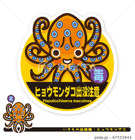 いきもの注意報：ヒョウモンダコ出没注意サイン 67553943