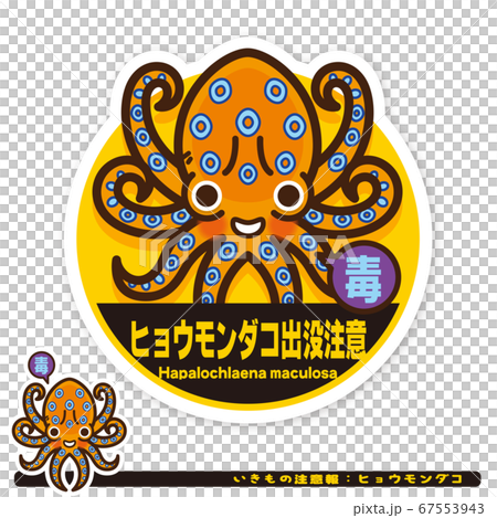 いきもの注意報：ヒョウモンダコ出没注意サイン 67553943