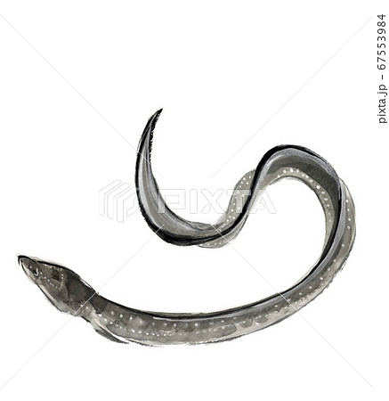 水玉子　オリジナルイラスト　モノクロ 水玉子(ﾐｽﾞﾀﾏｺ) (@mztmtzm) / X