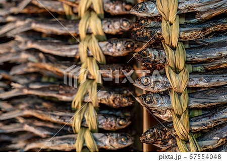 あごだしの材料　あごの干物　色味忠実寄り 67554048
