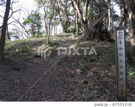 長柄桜山古墳群の第2号墳（後円部） 67555316