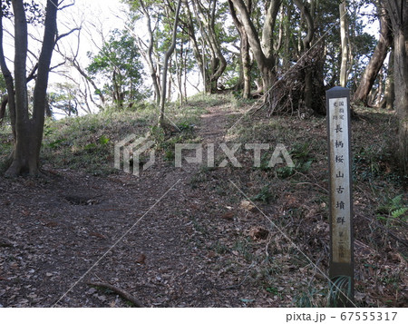 長柄桜山古墳群の第2号墳(後円部) 長柄桜山古墳群の第2号墳(後円部) 67555317