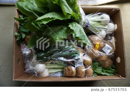 どこにいても、遠くまで届く、温かい野菜の贈り物 どこにいても、遠くまで届く、温かい野菜の贈り物 67555703