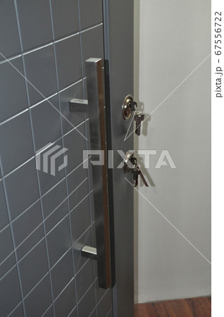 Modern wooden looking steel door, security lock system Modern wooden looking steel door, security lock system 67556722