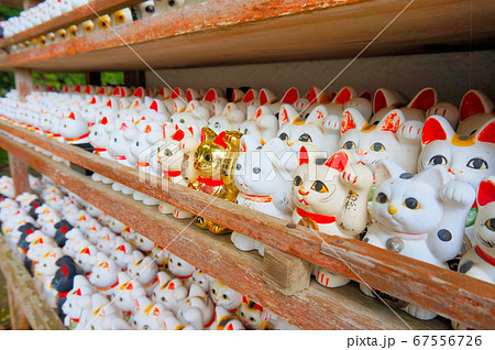 お松大権現にお礼奉納された数多くの招き猫　徳島県阿南市 67556726