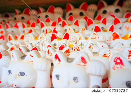 お松大権現　お礼に奉納された多数の招き猫　徳島県阿南市 67556727