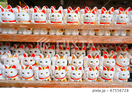 お松大権現 ずらりと並ぶ奉納された招き猫 徳島県阿南市 お松大権現 ずらりと並ぶ奉納された招き猫 徳島県阿南市 67556728