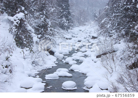 渓流の雪の冠 67556859