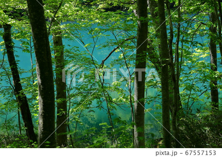 蔦沼長沼 蔦沼長沼 67557153