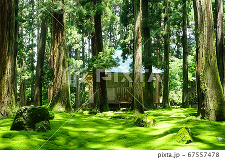 平泉寺白山神社 拝殿 苔寺 初夏 平泉寺白山神社 拝殿 苔寺 初夏 67557478