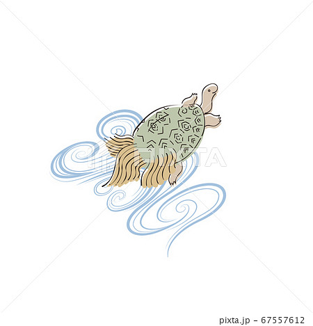 水面の亀 水面の亀 67557612