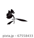 Illustration of flower with a stem on a white background 67558433