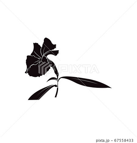 Illustration of flower with a stem on a white background Illustration of flower with a stem on a white background 67558433