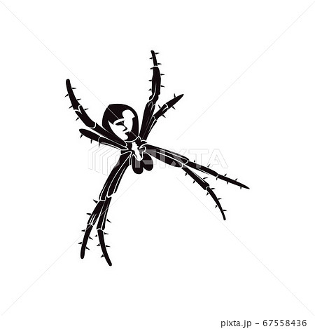 Spider Silhouette on white background Spider Silhouette on white background 67558436