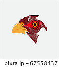 Drawing of chicken head on a white background 67558437