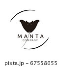 Silhouette of black manta isolated on white background for logo design 67558655