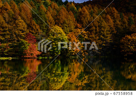 蓼科御射鹿池 蓼科御射鹿池 67558958