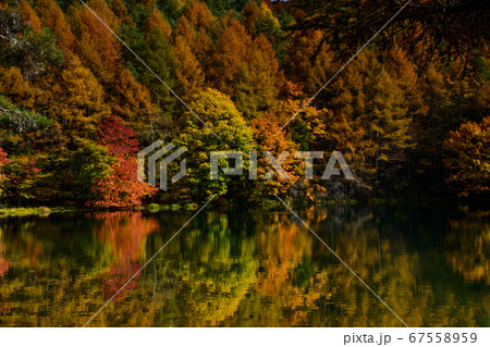 御射鹿池 御射鹿池 67558959