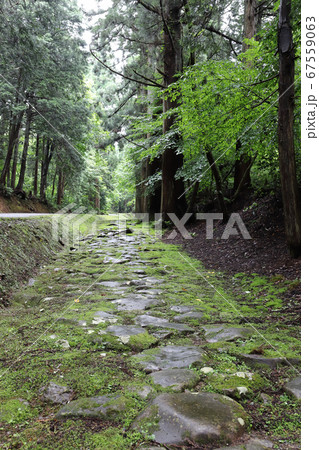 平泉寺白山神社 旧参道（福井県 勝山市） 67559063