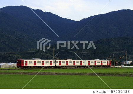 田園地帯を行く筑肥線103系（ワンマン運転） 67559488