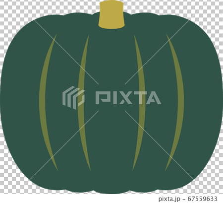 Pumpkin illustration Pumpkin illustration 67559633