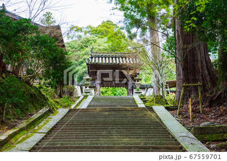 如意輪寺の山門と石階段（奈良県吉野郡吉野町吉野山）2020年4月 67559701