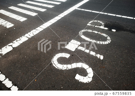 Text STOP is painted on the asphalt near crosswalk 67559835