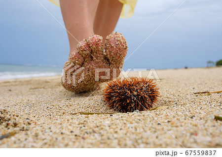 A man walks along the beach and is about to step A man walks along the beach and is about to step 67559837