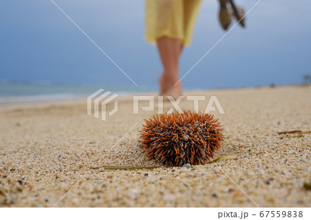 A man walks along the beach and is about to step A man walks along the beach and is about to step 67559838