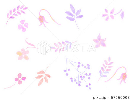 花のパターン 花のパターン 67560008