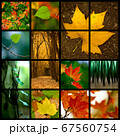 Autumn Theme 67560754