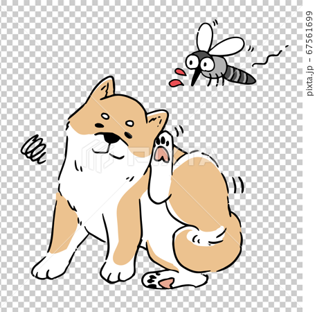 蚊と耳がかゆい柴犬の線画イラストセットのイラスト素材