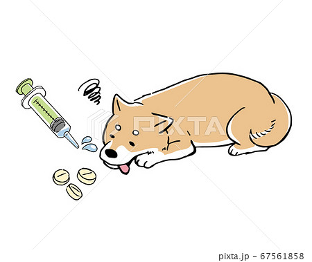 注射器で薬を飲む 体調不良の柴犬線画イラストセットのイラスト素材