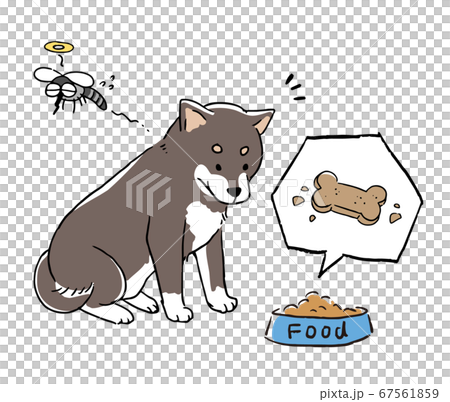 柴犬とフィラリアの薬を食べる線画イラストセットのイラスト素材