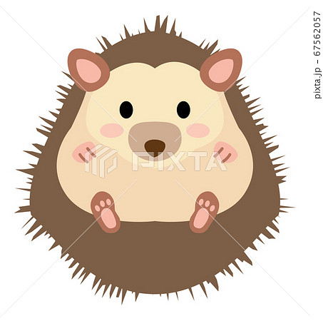 かわいい茶色のハリネズミのイラスト素材