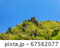 新緑の耶馬渓一目八景　五月晴れの仙人岩と烏帽子岩 67562077