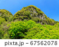 新緑の耶馬渓一目八景　五月晴れの群猿山 67562078