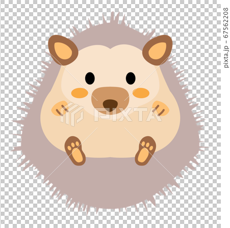 かわいい灰色のハリネズミのイラスト素材