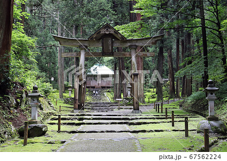 雨上がりの平泉寺白山神社 二の鳥居から見る拝殿（福井県 勝山市） 67562224