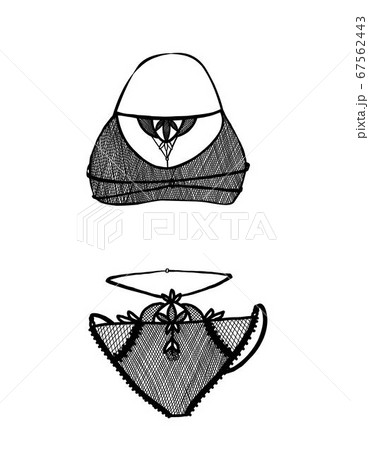 Sexy lingerie isolated on white background. Vector illustration 67562443