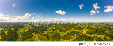 Aerial panorama of of green hills and vineyards Aerial panorama of of green hills and vineyards 67562523
