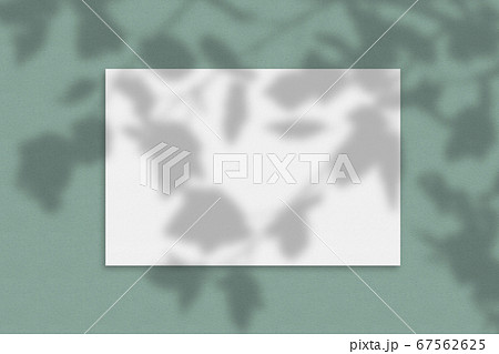 Mockup of a paper card with organic shadow 67562625