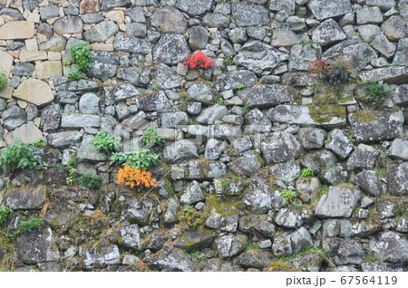 岸和田城の石垣（大阪府岸和田市岸城町） 67564119